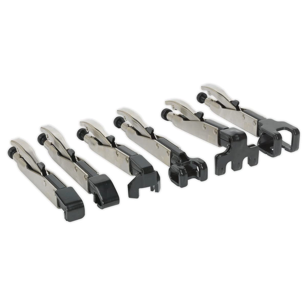 Sealey AK68403 Axial Locking Grip Set, 6 Pieces