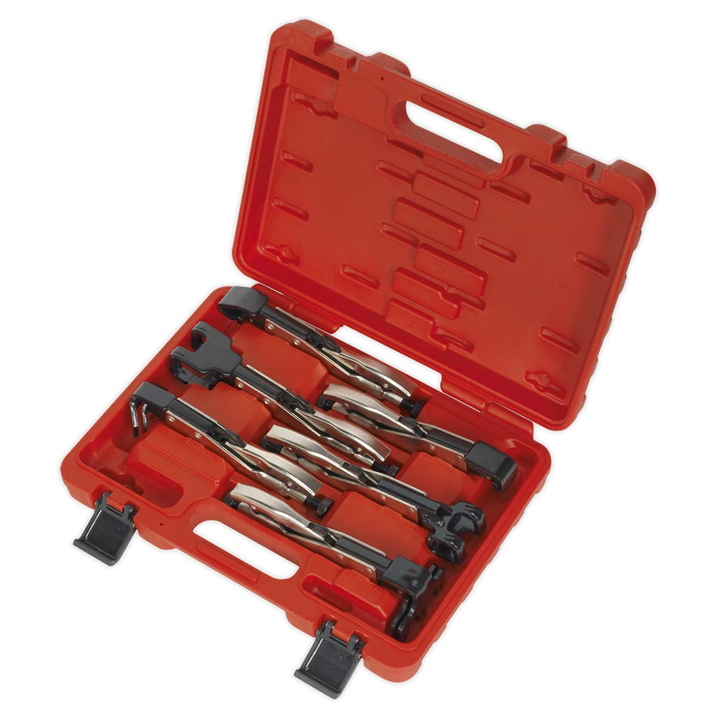 Sealey AK68403 Axial Locking Grip Set, 6 Pieces