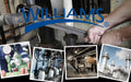 Williams WSH-16TB 16-Piece 3/4-Inch Drive shallow 12 Point Socket Set with Tool Box